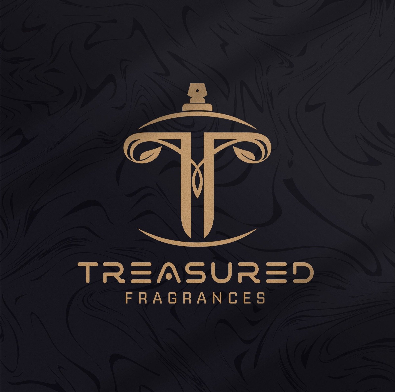 Premium Logo Concept